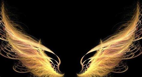 天使的翅膀代表什么（天使的解释）