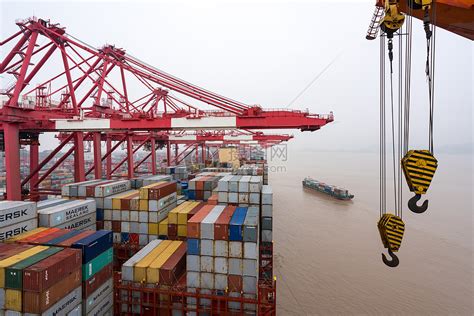 内贸集装箱海运的发展有哪些要求