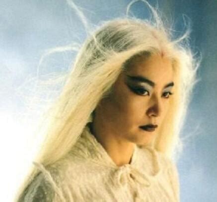 1993 (31) 白发魔女传 (The Bride with White Hair)(2) - 荣光无限 - 张国荣歌影迷网