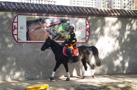 骑马观美景！北京今天开通4.37公里城市马道_京报网
