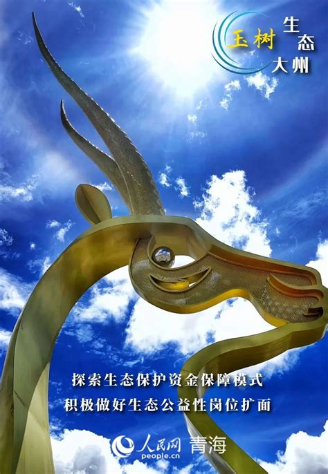 【新时代·新玉树·新生活】玉树大地绽放北京援建之花--2020专题库