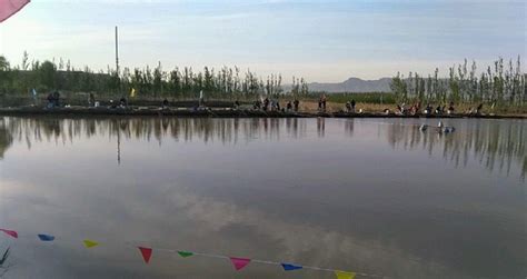 衡阳市附近30亩鱼塘转让- 聚土网