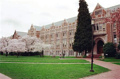 大学校园的樱花！西雅图~华盛顿大学