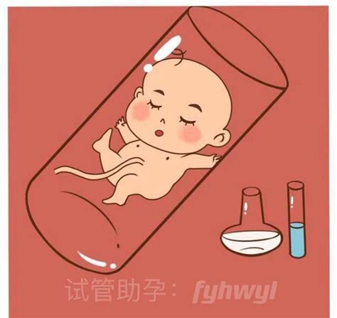 做试管婴儿，身体要达到什么条件才可以_凤凰网视频_凤凰网