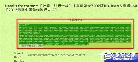 torrentkitty磁力搜索下载-种子猫torrentkitty中文网官方下载v2.0 安卓版-绿色资源网