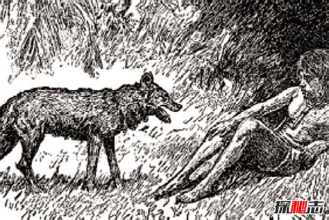 《狼道》中10句狼性思维，想要生存，必须要成为“狼王”__财经头条