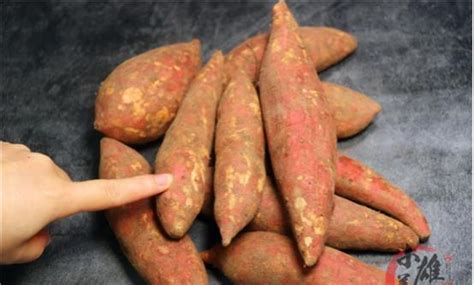 收获后的红薯怎么储存，介绍四种最常见的方法！_种植_地窖_木板