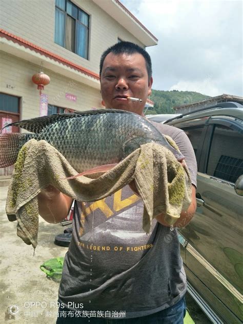 万峰湖天生桥钓鱼_万峰湖天生桥钓鱼地址_万峰湖天生桥钓鱼电话 - 钓鱼之家