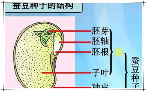 之双子回魂 哔哩哔哩漫画已更新～