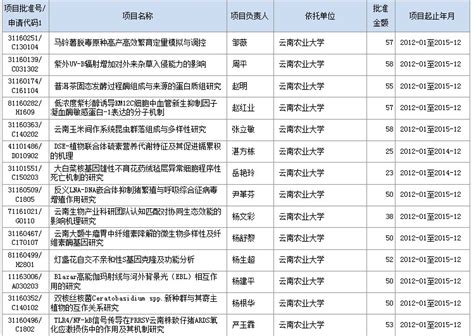 reits基金一览表发行价（中国reits基金发行价一览表）-比特币行情