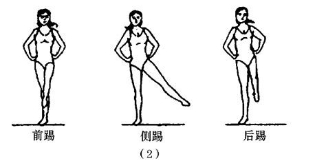 健美操的基本动作_挂云帆