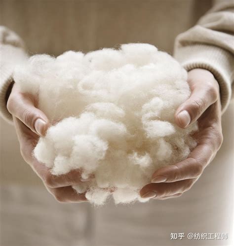 羊绒的真实含量怎么看？实用羊毛面料衣服挑选方法分享 帅气萌猪的博客