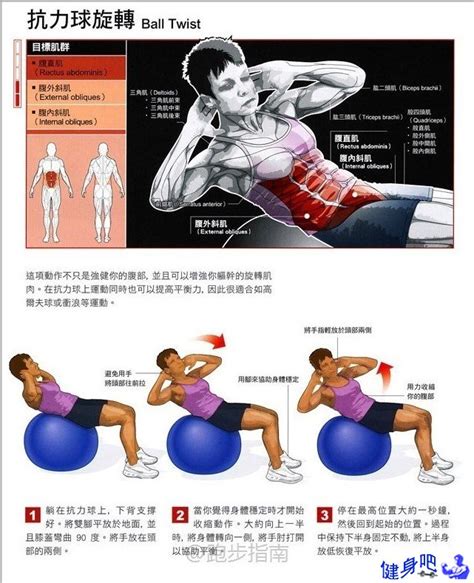 【图】如何锻炼腰部肌肉？ 六种方法教你锻炼腰部肌肉_如何锻炼腰部肌肉_伊秀美体网|yxlady.com
