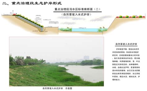 龙源路办事处积极开展河道环境整治-大河网