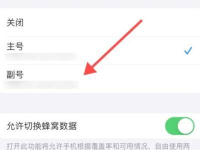 苹果12双卡怎么切换流量 - 业百科