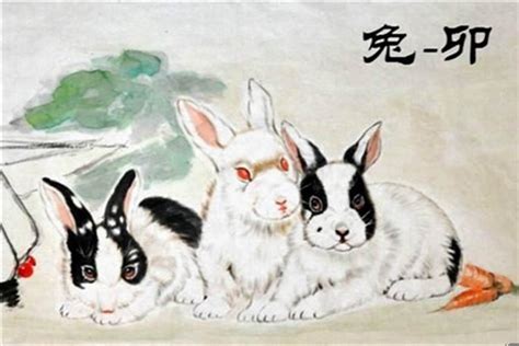 1987年属兔女今年运势(2022年兔年犯太岁的四个属相)_太岁_风水运势网