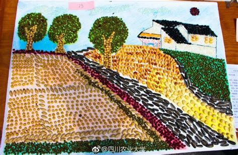 种子变“颜料” 川农大学生用种子作画极具美感(组图)-国际在线