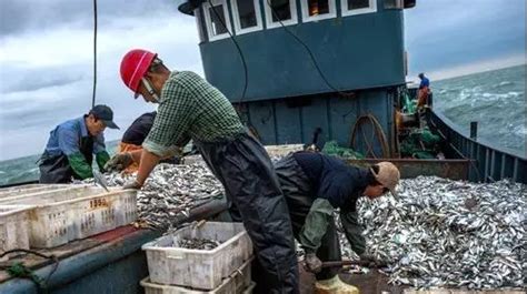 儋州海头一渔船侧翻损失28万元 多部门营救已拖回岸