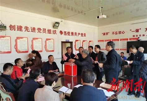 双江乡完成10个村村党组织换届选举工作 - 社会新闻 - 新湖南