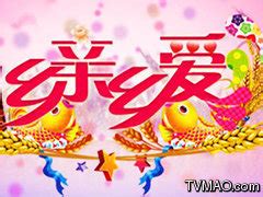 黑龙江电视台三套文体频道在线直播观看,网络电视直播