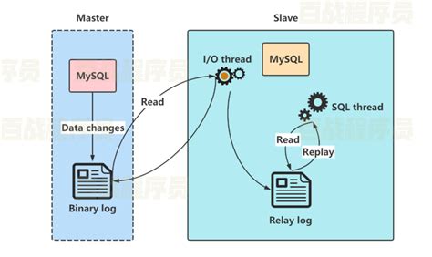 MySQL集群 - 知乎