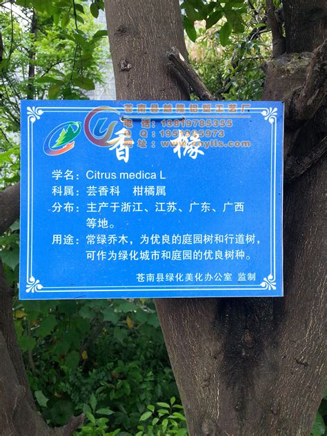 【茶花】PVC材质树木牌*公园植物吊牌 - 越隆标牌 - 九正建材网