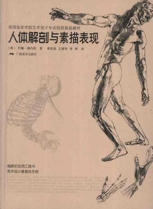 60cm艺用人体模型 肌肉解剖 人体骨骼结构模型 美术雕塑CG教学用-淘宝网