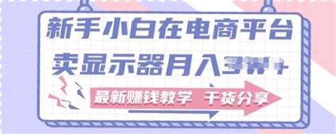 新手小白如何做到在电商平台卖显示器，最新赚钱教学干货分享 - 默创客