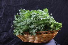 帝王菜又名“独菜”_[标签:标题1]
