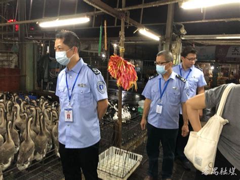 番禺区畜牧兽医站工作人员检查家禽交易市场