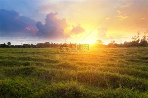 田野里的阳光明媚的黎明高清图片下载-正版图片505608464-摄图网