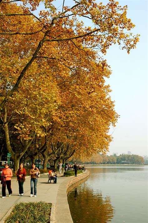 【辽东赏秋】中国枫叶之都徒步，寻找北国最美秋色-打印行程