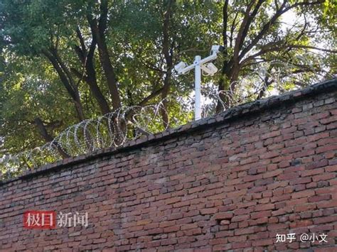 胡鑫宇缢吊在距学校不足百米的树林里，当地警方找到的太慢了_手机新浪网