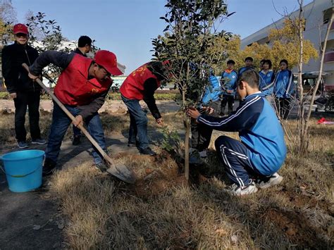 学校举行大型植树活动 3万多棵新苗为校园添新绿-广州大学新闻网