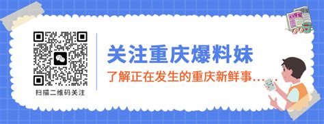 地产策划-重庆西部国际总部基地推广策略及广告表现提103812285.ppt_工程项目管理资料_土木在线