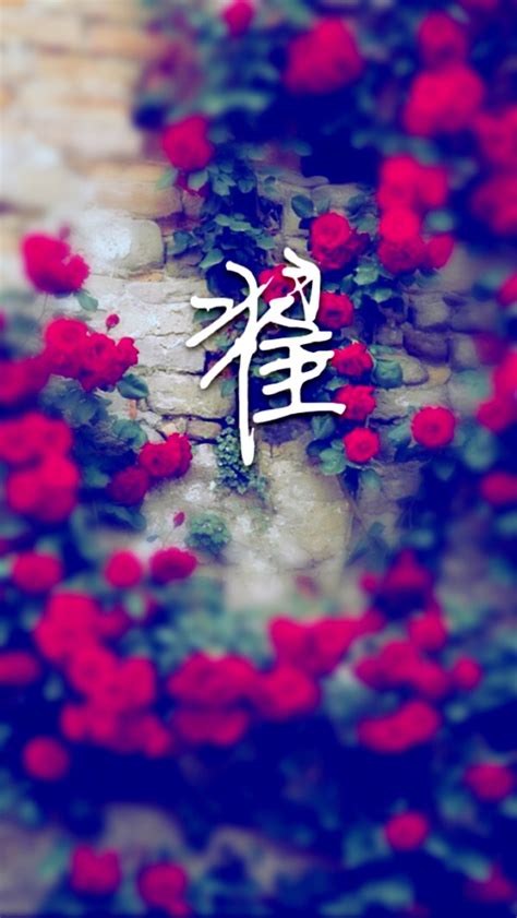 翟氏非主流头像