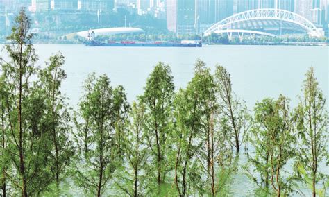 重庆平湖画梦旅行社：聚焦三峡，做好三峡旅游品牌-社会民生 -精品万州