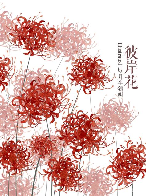 彼岸花动漫图片