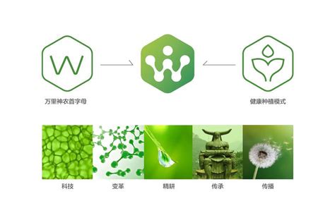 科技农业品牌logo设计-Logo设计作品|公司-特创易·GO