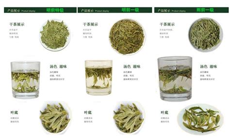 绿茶的等级划分标准图,特级,高级(第11页)_大山谷图库
