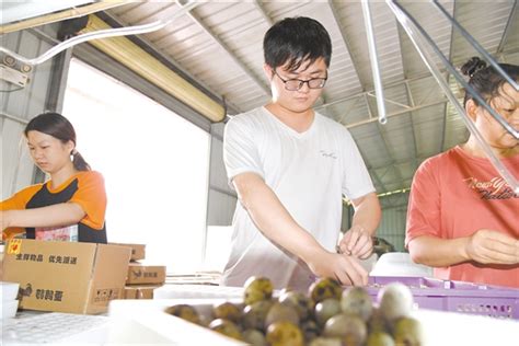 南宁农村改革逐步向现代农业转变 吸引青年回乡创业 - 广西县域经济网