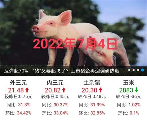 猪价一地达31.79元，7月迎来开门红，未来猪价稳步上涨可能性大 - 知乎