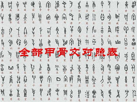 甲骨文和汉字对应表，学习了！收藏起来！|甲骨文|汉字|收藏_新浪新闻