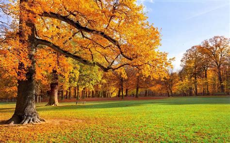 苏州的秋天，这些风景如画的地方不容错过 - 知乎