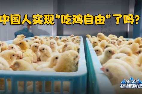 中国人实现“吃鸡自由”了吗？背后的真相或许有些残酷……_凤凰网视频_凤凰网