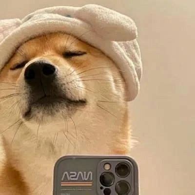非主流狗狗自拍头像