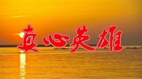 真心英雄熊黛林图片