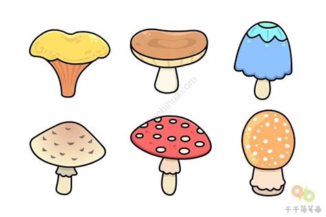蘑菇和动物的简笔画带颜色搭配(蘑菇和动物的简笔画带颜色搭配图片) | 抖兔教育