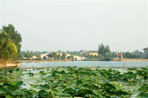 十大仙桃特色景点排行榜：普佛寺上榜，广长社在莲花池旁-排行榜123网