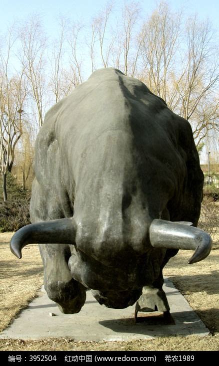 向前冲的牛雕塑高清图片下载_红动中国